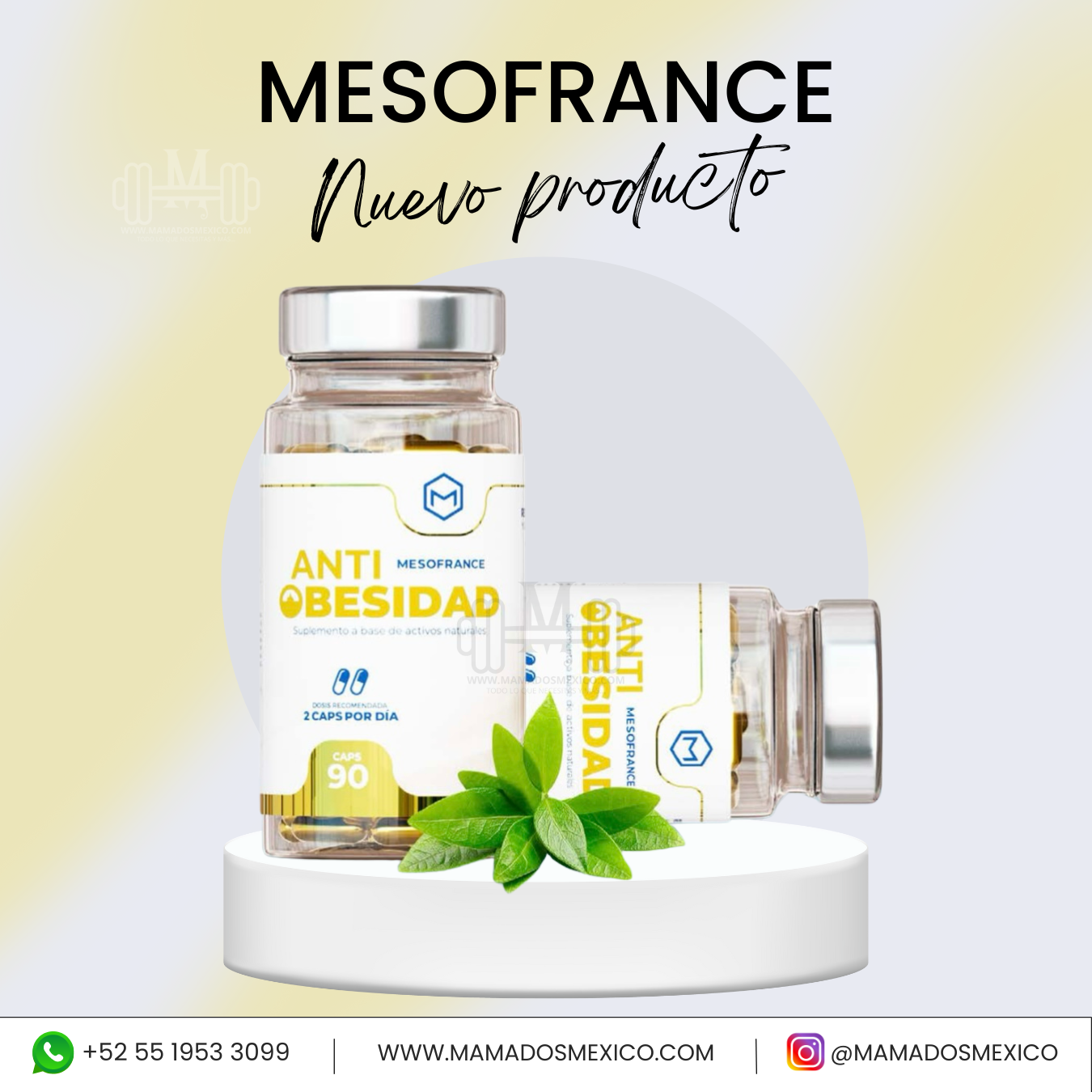 MESOFRANCE ANTIOBESIDAD