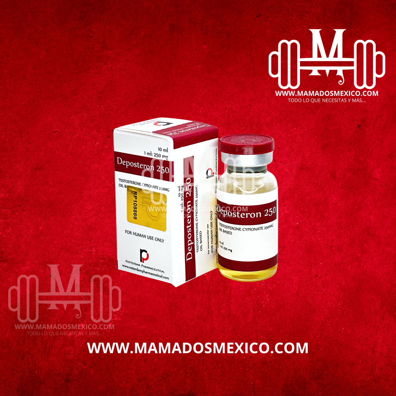 Testosterona Cipionato Rotterdam Pharmaceutical