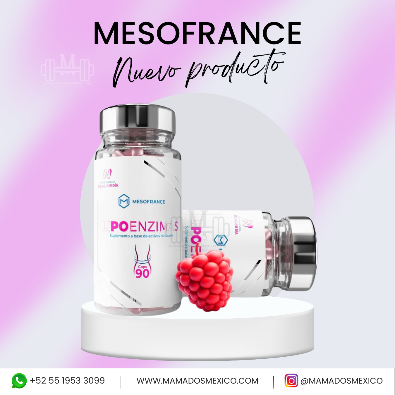 MESOFRANCE LIPOENZIMAS CAPSULAS