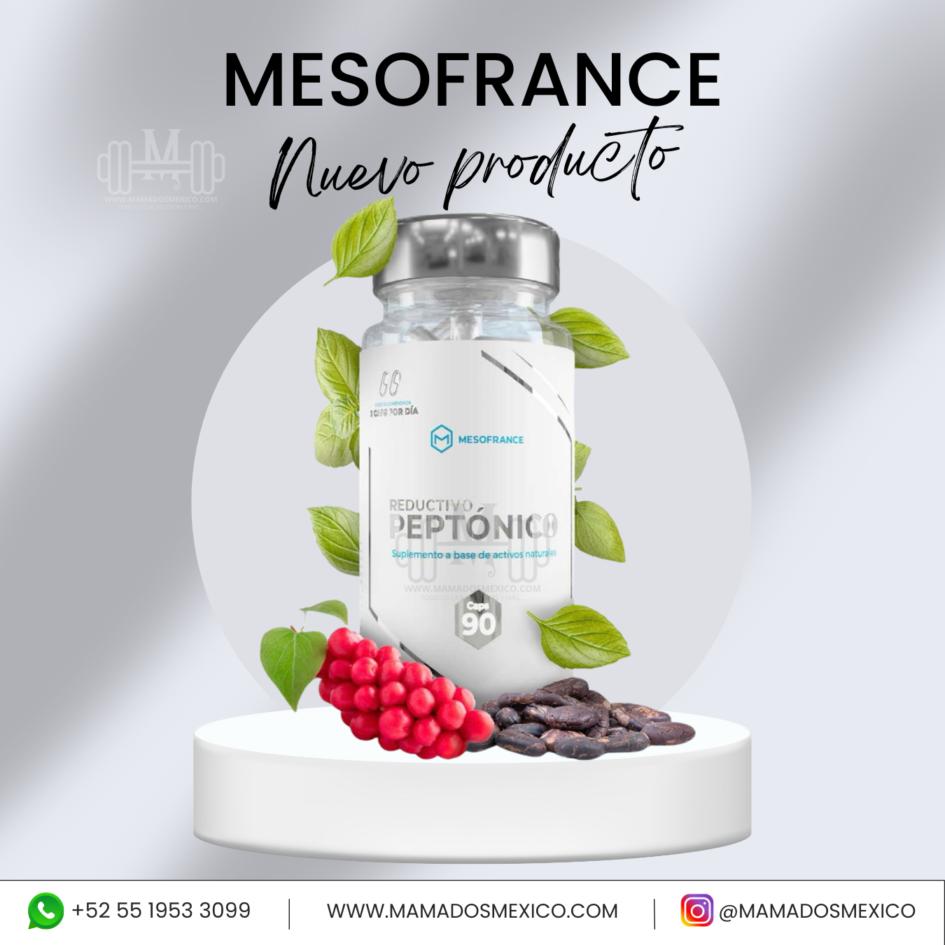Reductivo Peptonico Mesofrance