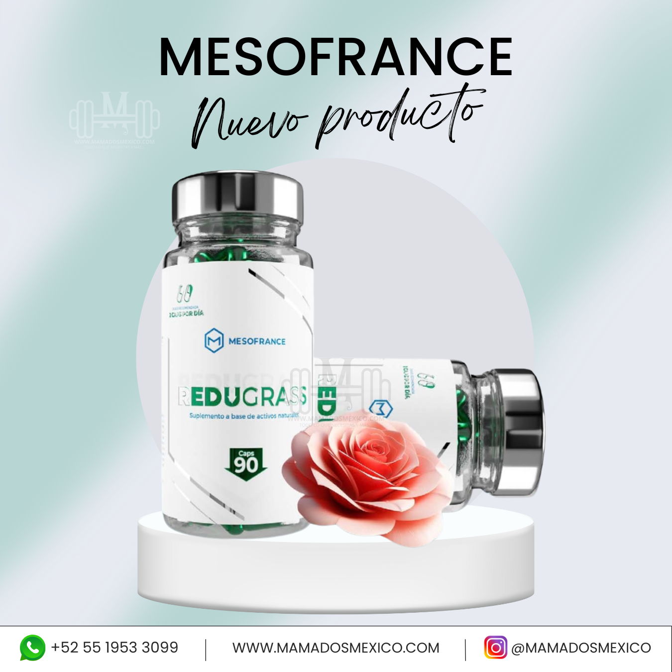 Redugrass Capsulas Mesofrance