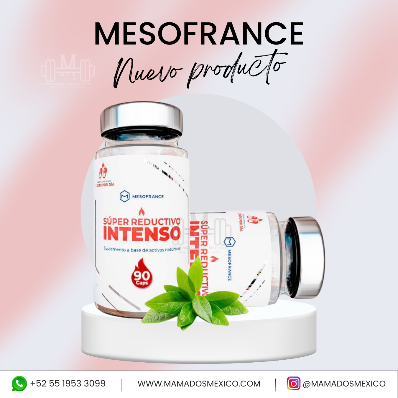 Super Reductivo Intenso Mesofrance