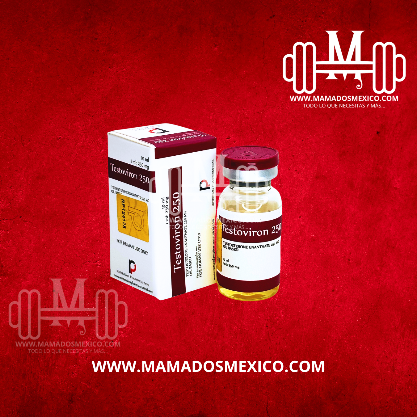 Testosterona Enantato Rotterdam Pharmaceutical