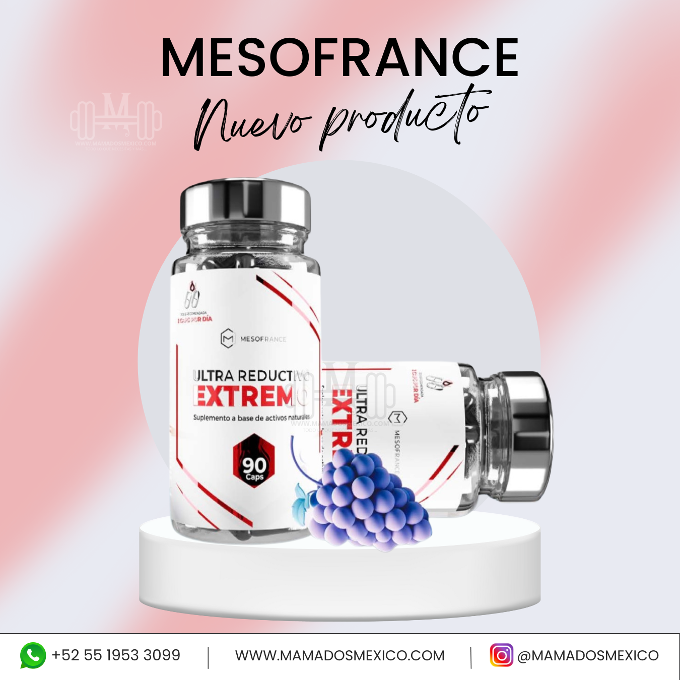 CAPSULAS ULTRA REDUCTIVO EXTREMO MESOFRANCE